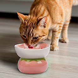 P.T. Supply Co. Strawberry Shaped Stoneware Elevated Dog & Cat Bowl, Pink slide 2 of 8