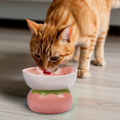 Show full view: P.T. Supply Co. Strawberry Shaped Stoneware Elevated Dog & Cat Bowl, Pink slide 6 of 9