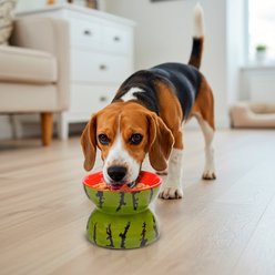 P.T. Supply Co. Watermelon Shaped Stoneware Elevated Dog & Cat Bowl, Red slide 2 of 8