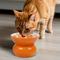 Show in main carousel: P.T. Supply Co. Orange Shaped Stoneware Elevated Dog & Cat Bowl, Orange slide 6 of 9