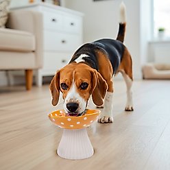 P.T. Supply Co. Mushroom Shaped Stoneware Elevated Dog & Cat Bowl, Yellow slide 2 of 8