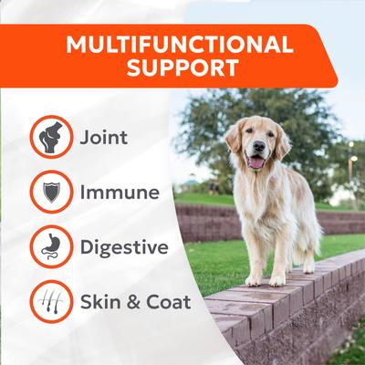 Show full view: Nutramax Cosequin Joint Health with Multifunctional Support Soft Chews Supplement for Dogs, 90 count slide 3 of 12