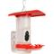 Show in main carousel: FeatherSnap Smart Hummingbird Feeder slide 2 of 6