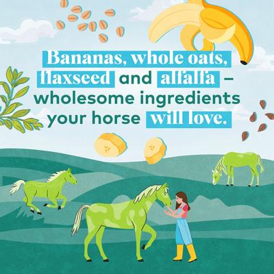 Show full view: Honest To Goodness Upcycled Horse Treats, Banana, 2-lb bag slide 2 of 7