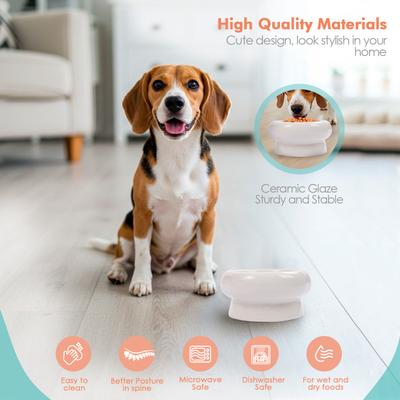 P.T. Supply Co. Abstract Bubble Shaped Stoneware Elevated Dog & Cat Bowl