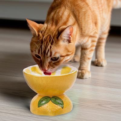 Show full view: P.T. Supply Co. Lemon Shaped Stoneware Elevated Dog & Cat Bowl, Yellow slide 6 of 9