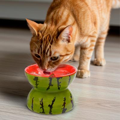Show full view: P.T. Supply Co. Watermelon Shaped Stoneware Elevated Dog & Cat Bowl, Red slide 6 of 9