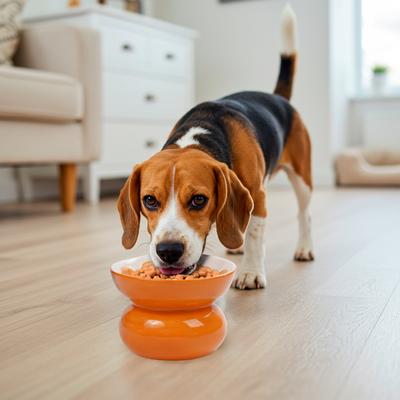 Show full view: P.T. Supply Co. Orange Shaped Stoneware Elevated Dog & Cat Bowl, Orange slide 8 of 9