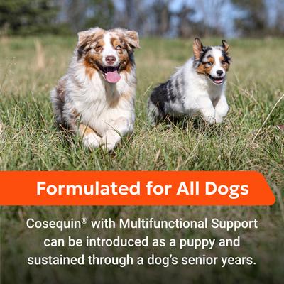 Show full view: Nutramax Cosequin Joint Health with Multifunctional Support Soft Chews Supplement for Dogs, 90 count slide 6 of 12