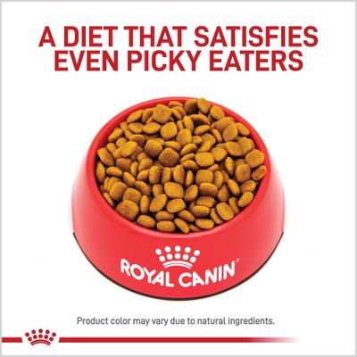 Show full view: Royal Canin Veterinary Diet Skintopic Medium & Large Adult Dry Dog Food, 1.5-lb bag slide 3 of 12