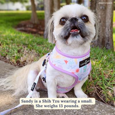 Show full view: Lucy & Co. Life's a Beach Reversible Dog Harness, Small: 14 to 18-in chest slide 4 of 6