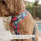 Show in main carousel: Lucy & Co. Red, White & BBQ Reversible Dog Harness, Large: 20 to 28-in chest slide 5 of 7