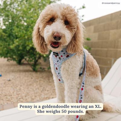 Show full view: Lucy & Co. Italian Vacay Reversible Dog Harness, Large: 20 to 28-in chest slide 6 of 7