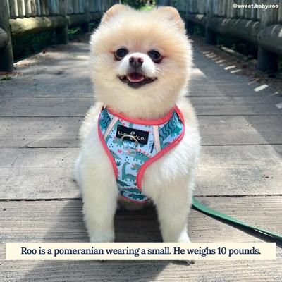 Show full view: Lucy & Co. The DinoROAR No-Pull Dog Harness, Green, Medium: 17 to 23-in chest slide 6 of 7