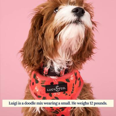 Show full view: Lucy & Co. The Posy Pink Reversible Dog Harness, Pink, Medium: 17 to 23-in chest slide 4 of 8