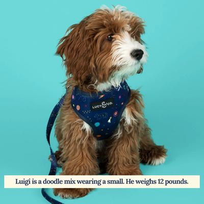Show full view: Lucy & Co. The Space Doodle Reversible Dog Harness, Navy, Medium: 17 to 23-in chest slide 4 of 8
