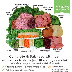 Simple Food Project Beef & Salmon Recipe Freeze-Dried Dog Food, 6-lb box