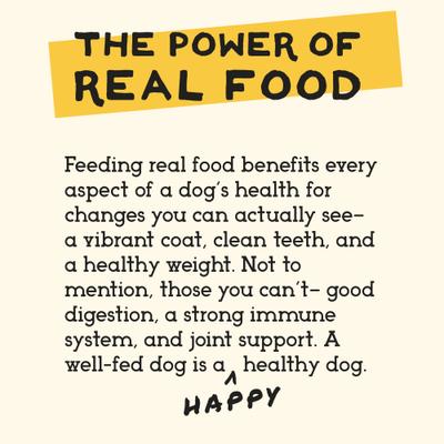 Show full view: Simple Food Project Lamb Recipe Freeze-Dried Dog Food, 6-lb box slide 5 of 8