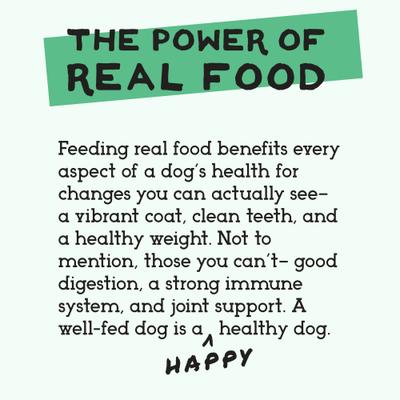 Show full view: Simple Food Project Bison Recipe Freeze-Dried Dog Food, 6-lb box slide 5 of 8