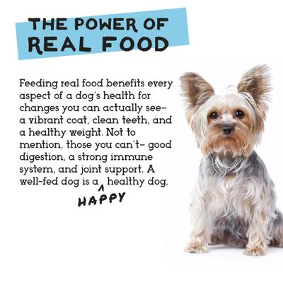 Show full view: Simple Food Project Duck & Trout Recipe Freeze-Dried Dog Food, 6-lb box slide 6 of 8