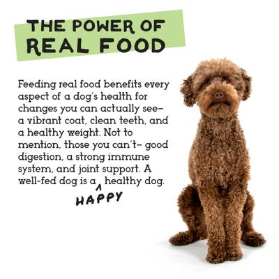 Show full view: Simple Food Project Beef & Salmon Recipe Freeze-Dried Dog Food, 1.5-lb box slide 6 of 9