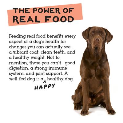 Show full view: Simple Food Project Chicken & Turkey Recipe Freeze-Dried Dog Food, 6-lb box slide 6 of 9