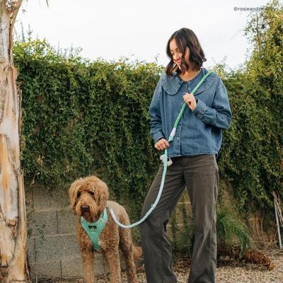 Show full view: Lucy & Co. Spring Green No Pull Dog Harness, Medium: 17 to 23-in chest slide 9 of 10