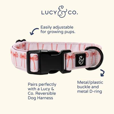 Show full view: Lucy & Co. Take a Bow Polyester Dog Collar, Small: 8 to 14-in neck, 1/2-in wide slide 4 of 6