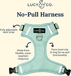 Lucy & Co. Spring Green No-Pull Dog Harness, X-Small: 12 to 15-in chest slide 2 of 9