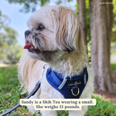 Show full view: Lucy & Co. Navy No Pull Dog Harness, Large: 20 to 28-in chest slide 3 of 7