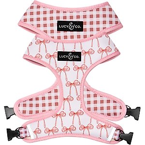 Lucy & Co. Take a Bow Reversible Dog Harness, Large: 20 to 28-in chest