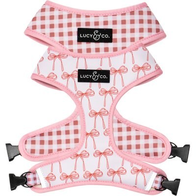 Lucy & Co. Lucy & Co. Take a Bow Reversible Dog Harness, X-Small: 12 to 15-in chest