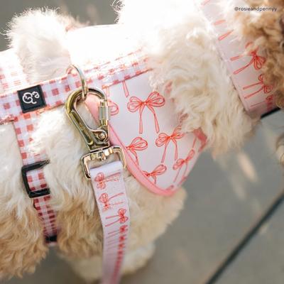 Show full view: Lucy & Co. Take a Bow Polyester Dog Leash, Small: 5-ft long, 0.6-in wide slide 3 of 7