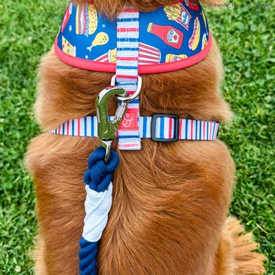 Show full view: Lucy & Co. Hands-Free Rope Dog Leash, 7-ft long, 3/4-in wide, Navy slide 4 of 6