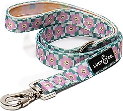 Lucy & Co. Just Chill Polyester Dog Leash, Small: 5-ft long, 0.6-in wide