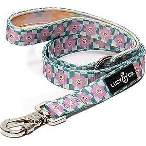 Lucy & Co. Just Chill Polyester Dog Leash, Small: 5-ft long, 0.6-in wide