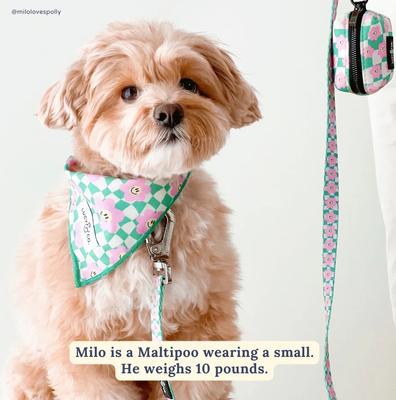 Show full view: Lucy & Co. Just Chill Polyester Dog Leash, Large: 5-ft long, 1-in wide slide 3 of 5