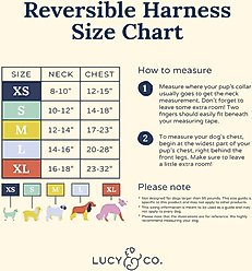 Lucy & Co. Iced Coffee SZN Reversible Dog Harness, Small: 14 to 18-in chest slide 2 of 7