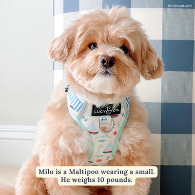Show full view: Lucy & Co. Nautical by Nature No Pull Dog Harness, Large: 20 to 28-in chest slide 5 of 9