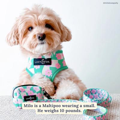 Show full view: Lucy & Co. Just Chill Reversible Dog Harness, Large: 20 to 28-in chest slide 4 of 10