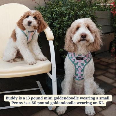 Show full view: Lucy & Co. Just Chill Reversible Dog Harness, Large: 20 to 28-in chest slide 3 of 10