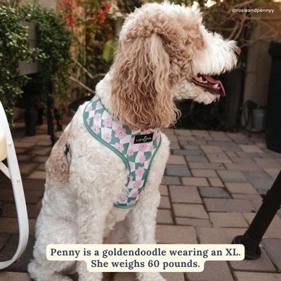 Show full view: Lucy & Co. Just Chill Reversible Dog Harness, Large: 20 to 28-in chest slide 6 of 10