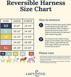 Lucy & Co. Just Chill Reversible Dog Harness, Large: 20 to 28-in chest slide 2 of 9