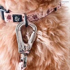 Lucy & Co. Iced Coffee SZN Polyester Dog Collar, Large: 16 to 26-in neck, 1.5-in wide slide 2 of 6