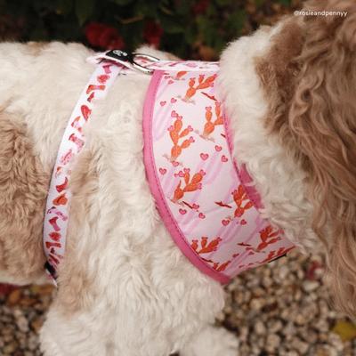 Show full view: Lucy & Co. Howdy, Honey Reversible Dog Harness, Small: 14 to 18-in chest slide 4 of 9