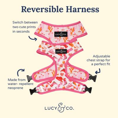 Show full view: Lucy & Co. Howdy, Honey Reversible Dog Harness, Small: 14 to 18-in chest slide 7 of 9