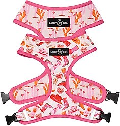 Lucy & Co. Howdy, Honey Reversible Dog Harness, Small: 14 to 18-in chest