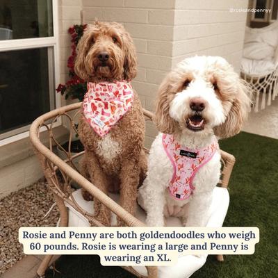 Show full view: Lucy & Co. Howdy, Honey Reversible Dog Harness, Small: 14 to 18-in chest slide 5 of 9