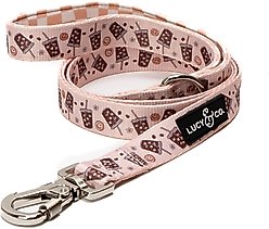 Lucy & Co. Iced Coffee SZN Polyester Dog Leash, Small: 5-ft long, 0.6-in wide
