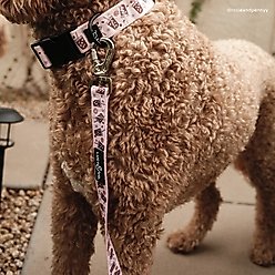 Lucy & Co. Iced Coffee SZN Polyester Dog Leash, Small: 5-ft long, 0.6-in wide slide 2 of 8